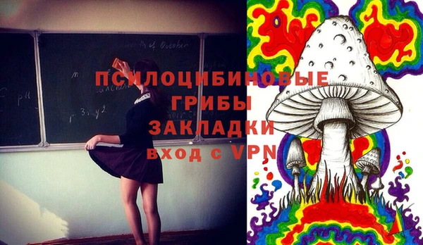 хмурый Михайлов