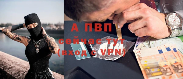 твердый Сураж