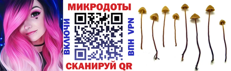 Псилоцибиновые грибы Psilocybe  Новоуральск 